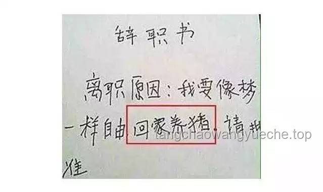 当前年轻人“不开心即辞职”现象深度剖析：底气何在？